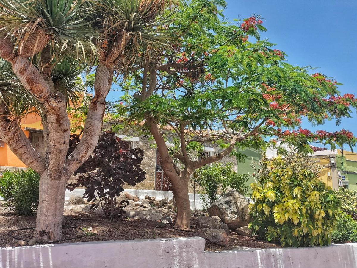 Casa En La Ladera - Real Vibe - Beach & Mountain Сан-Николас Экстерьер фото